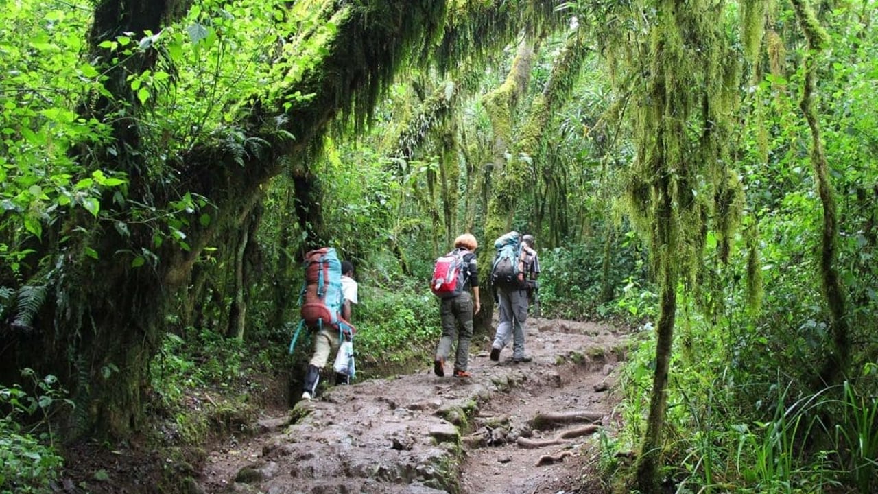 DAY 1 - Hotel to Mandara Hut