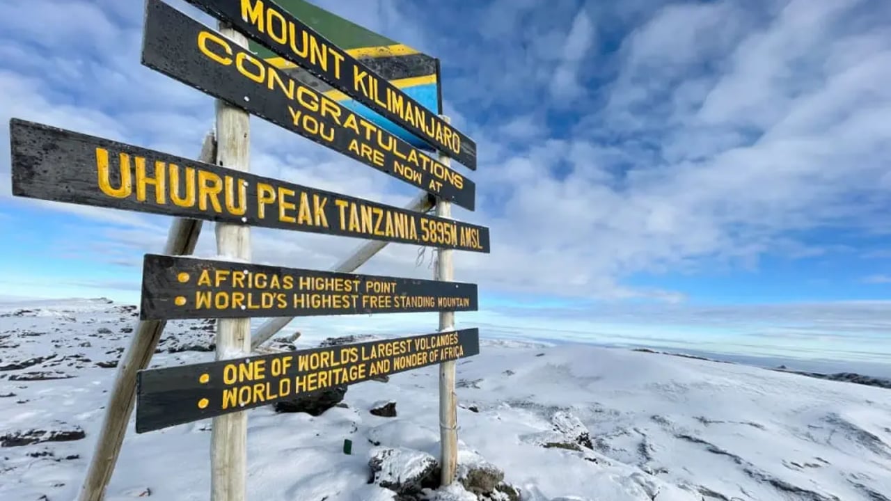 Day 3–8: Lemosho Climb: Days 3–8 (see Pure Summit itinerary)