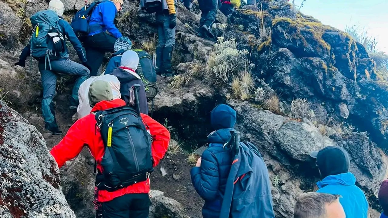 DAY 3 - Shira to Lava Tower to Barranco