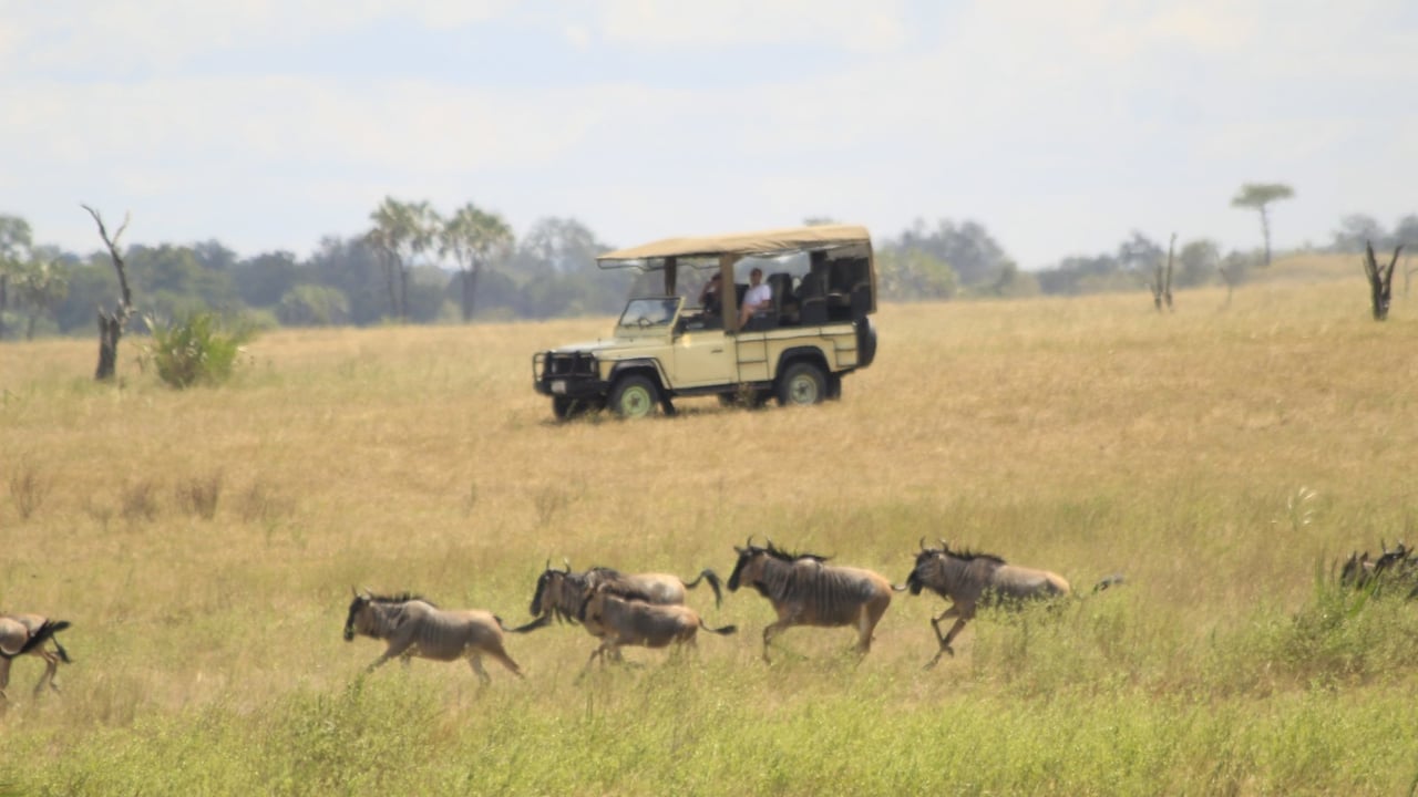 7:00–11:30 AM	Morning Game Drive