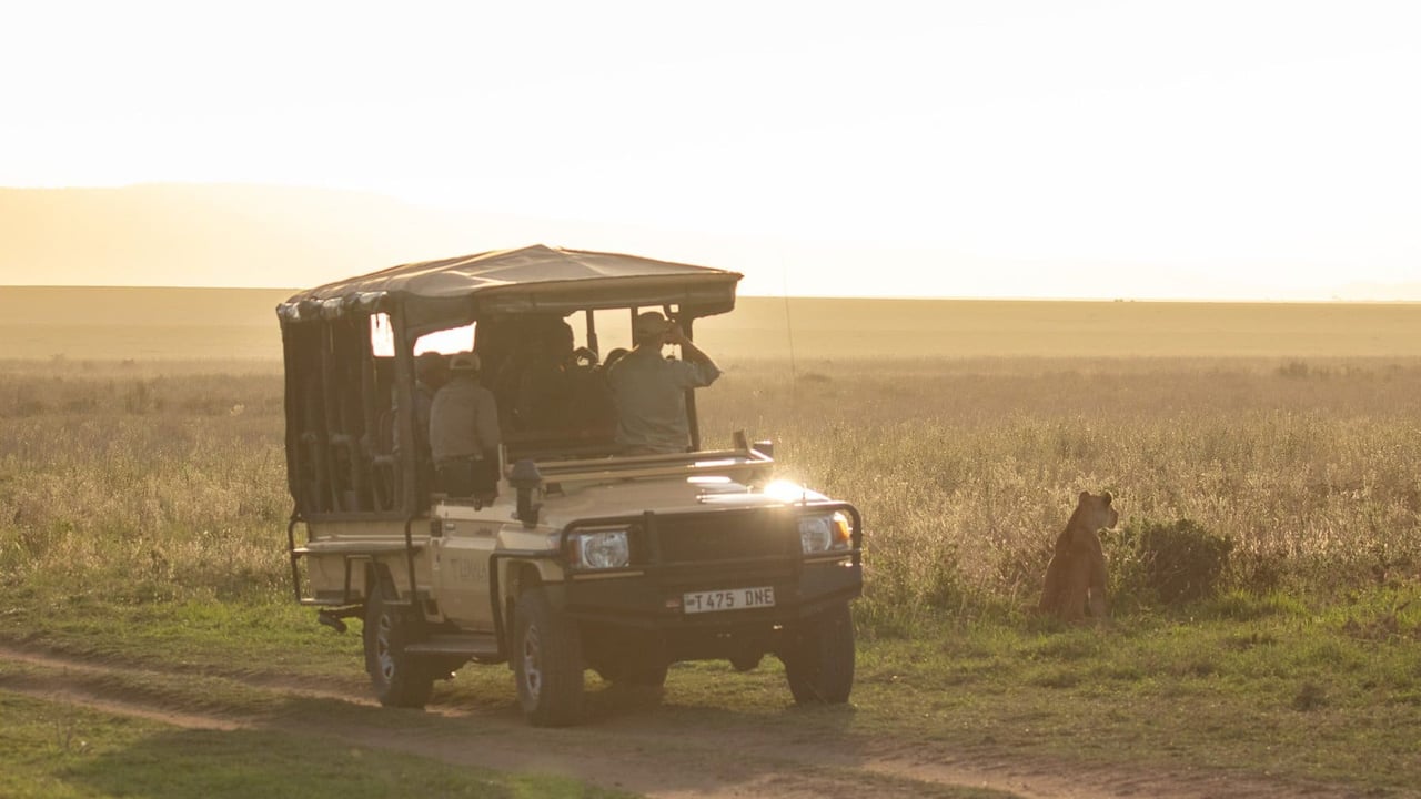 DAY 3 - Ndutu Region Game Drive