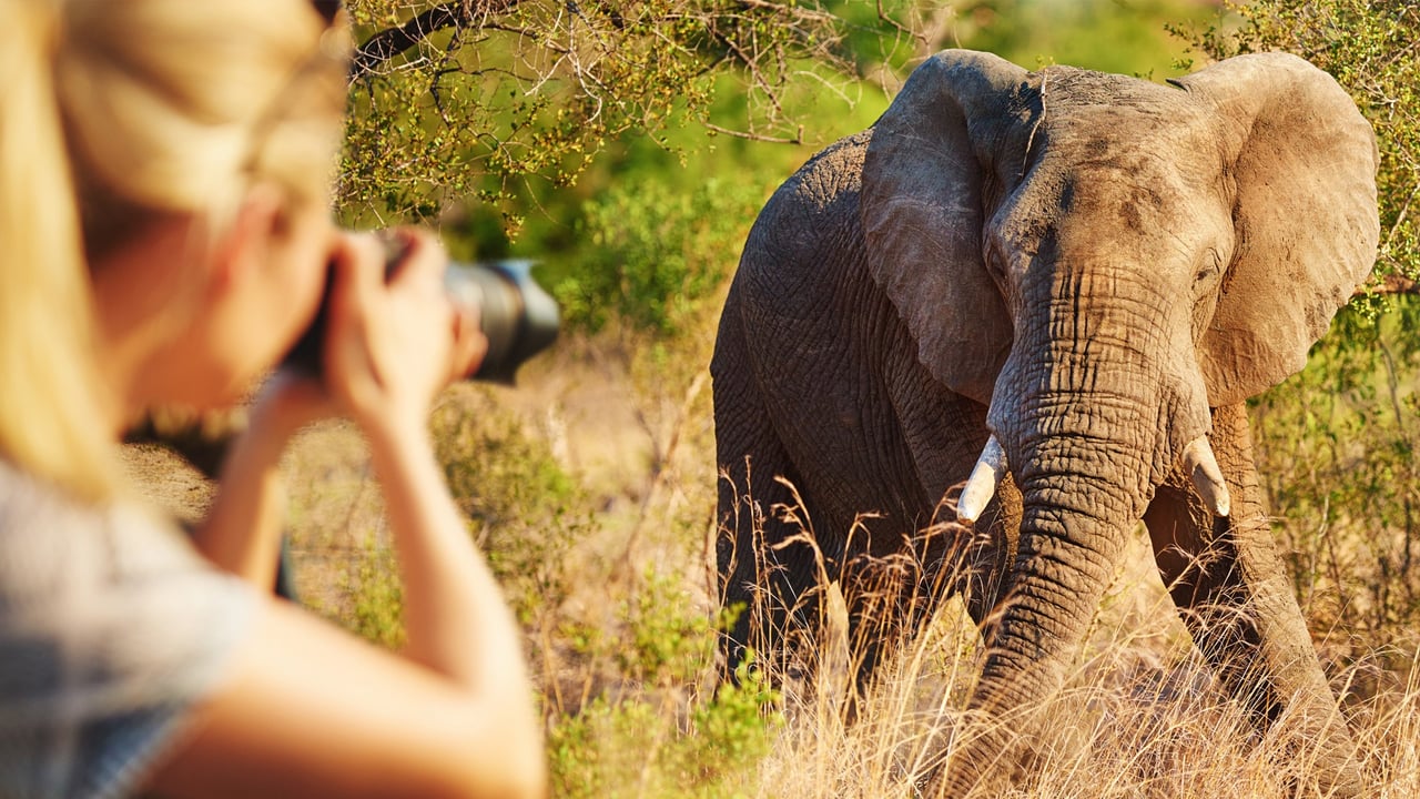 12 Days Ultimate Tanzania Safari