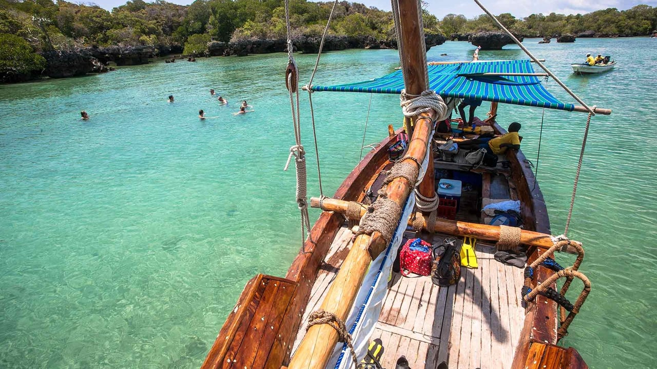 Safari Blue Zanzibar: Traditional Dhow Sailing & Snorkeling