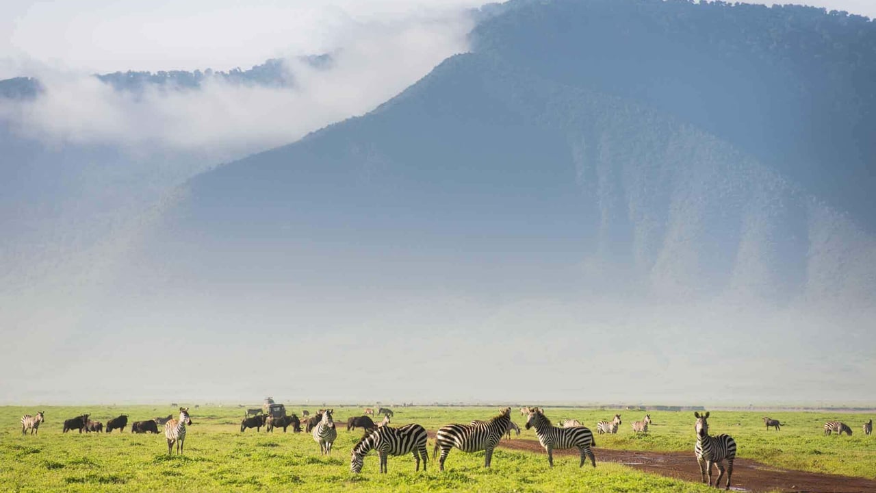 DAY 8 - Ngorongoro Crater Adventure