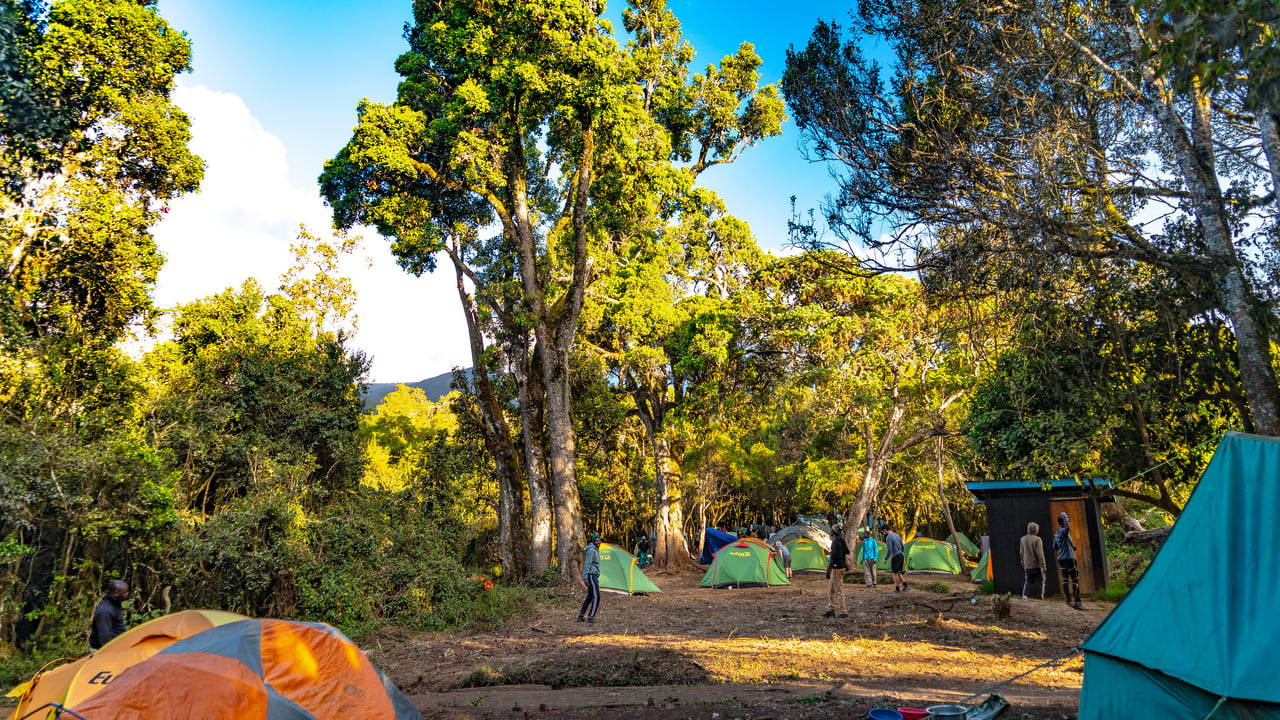 Day 3 — Big Tree to Shira One Campsite (Acclimatization Day)