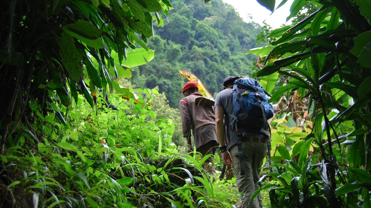Day 4 Shimbwe Village Trek to Kilimanjaro Border
