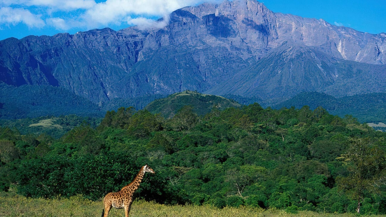 DAY 1 - Arusha National Park Walking Safari