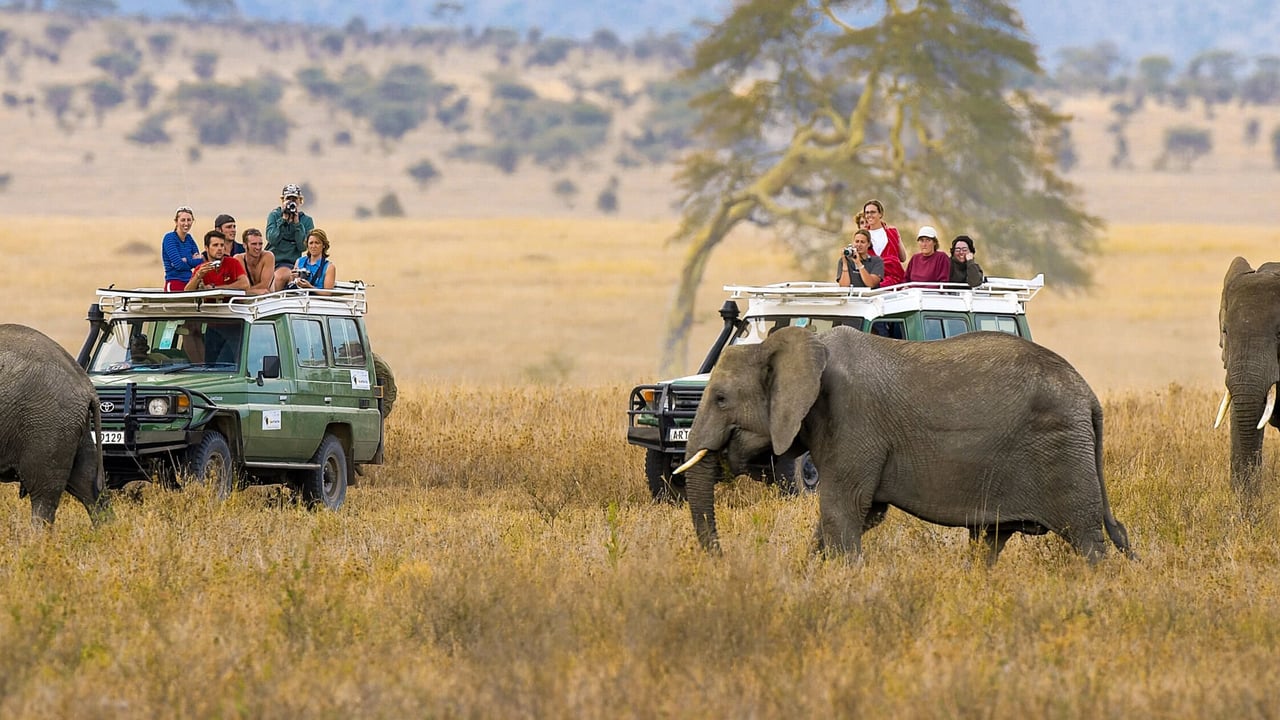 Day 2 — Ngorongoro Crater & Return to Zanzibar