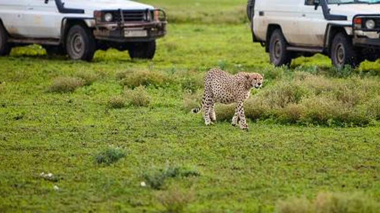 Day 4: Lake Eyasi → Ngorongoro Crater