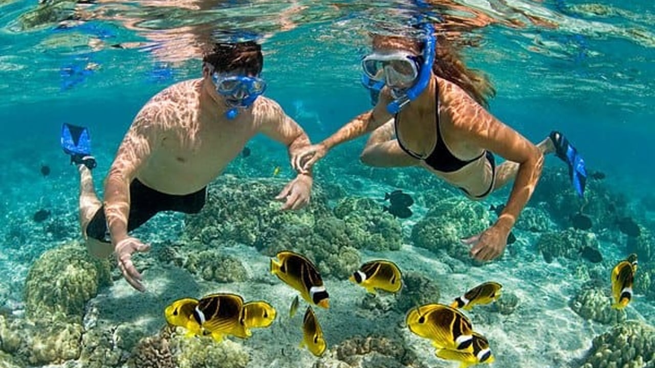 Day 3 — Mnemba Atoll Dolphins & Snorkeling