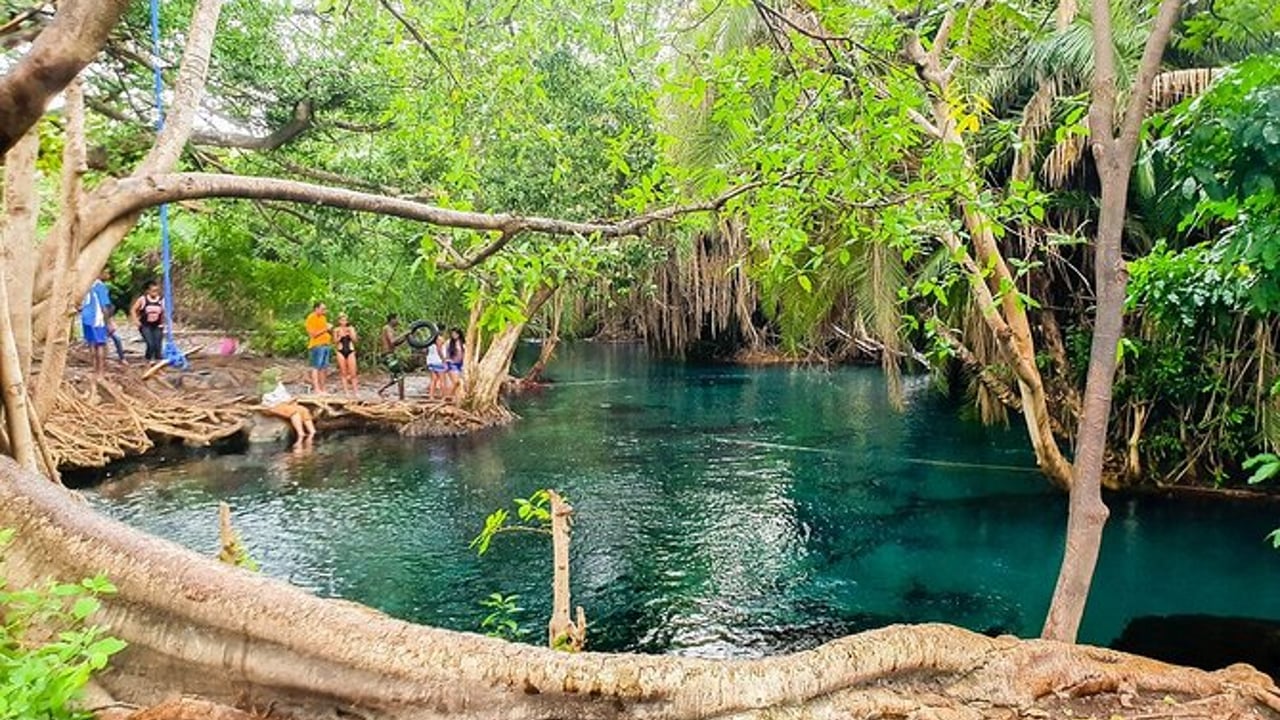 Kikuletwa Hotspring Tour 