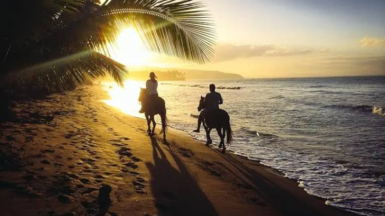 Day 4 — Sunrise Horse Ride & Swim with Horses