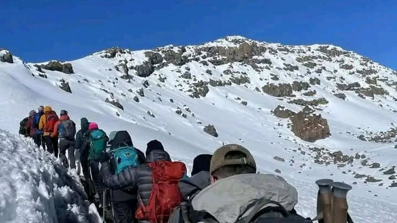 DAY 5 - Barafu to Summit to Mweka