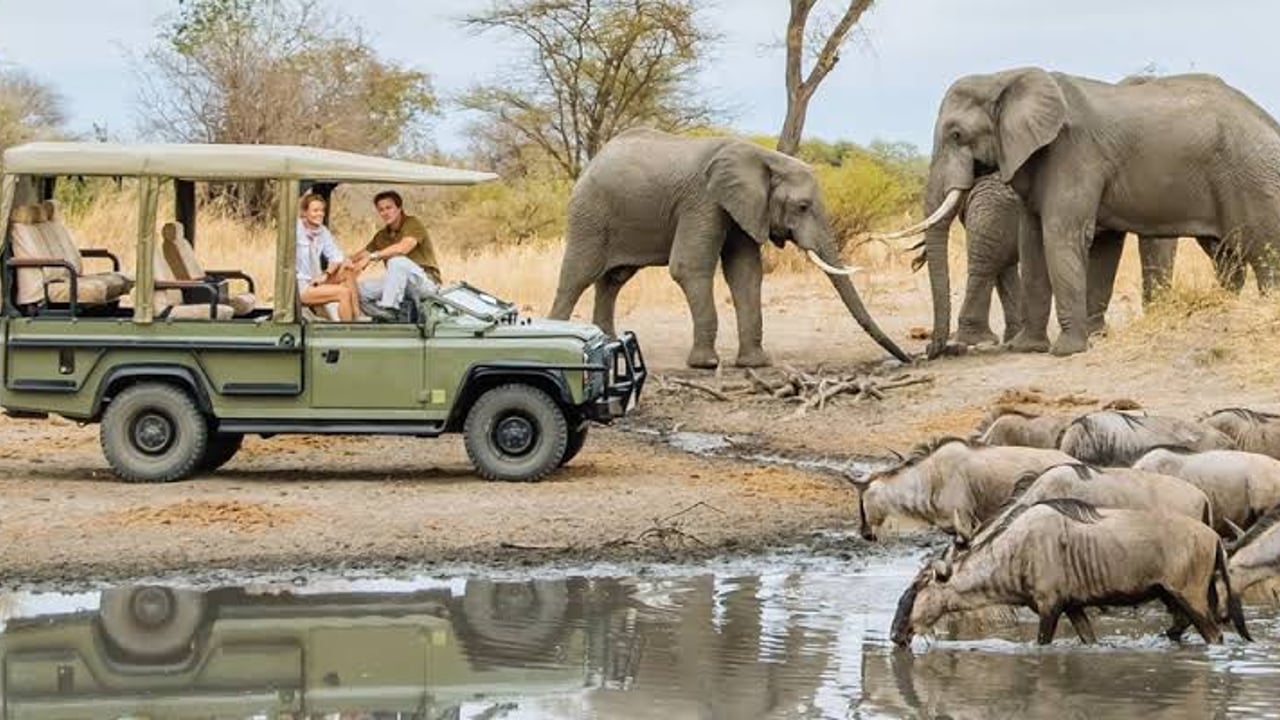 2 Days Tarangire & Ngorongoro Crater Package
