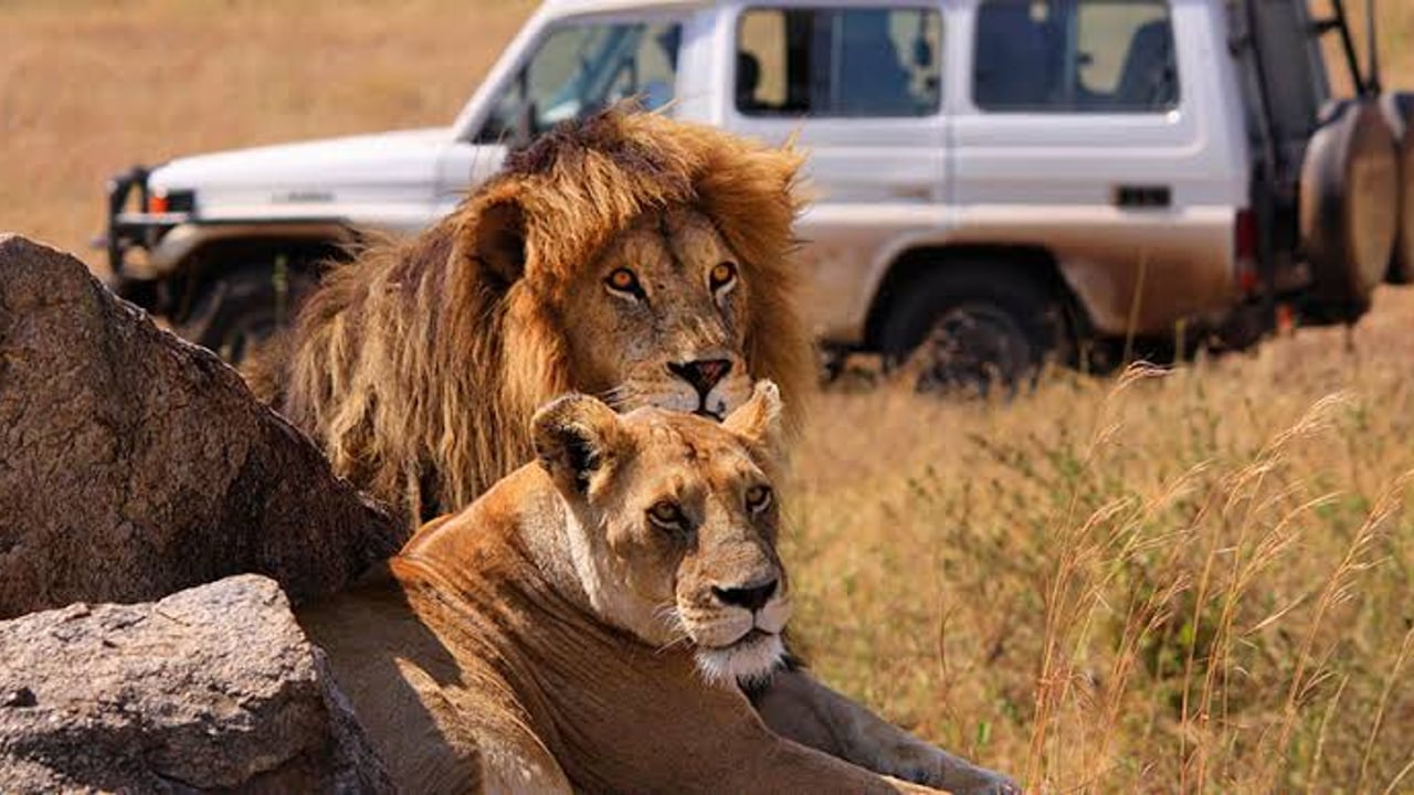 Day 1 — Serengeti National Park
