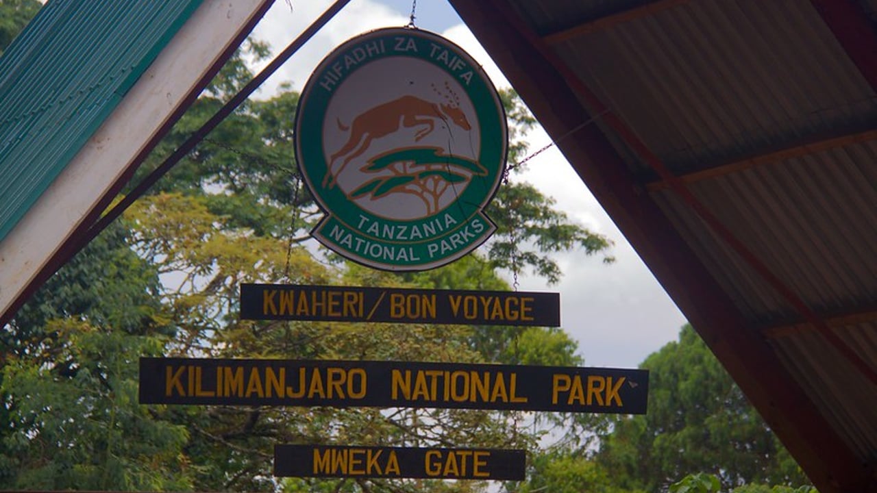 Day 9 — Mweka Campsite to Mweka Gate & Moshi