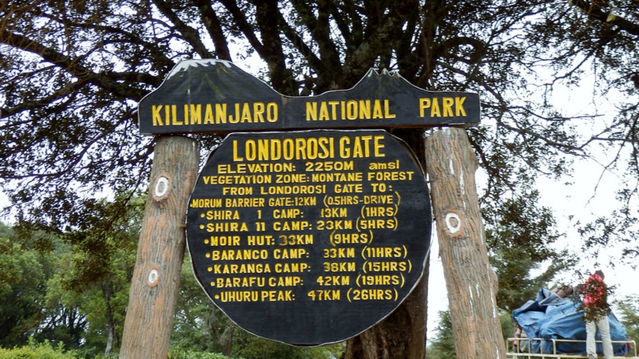 Day 2 — Londorosi Gate to Big Tree Campsite