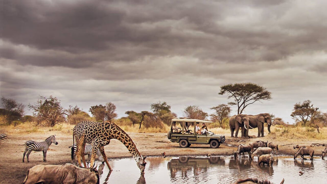 Day 2 - Tarangire National Park