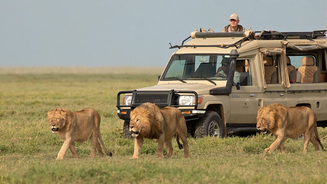 Day 2: Tarangire → Serengeti National Park