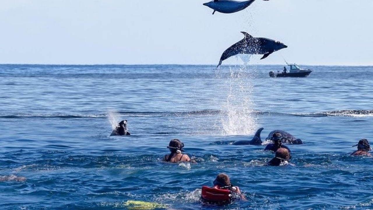 Days 5 - 9: Zanzibar Beach & Luxury Experiences