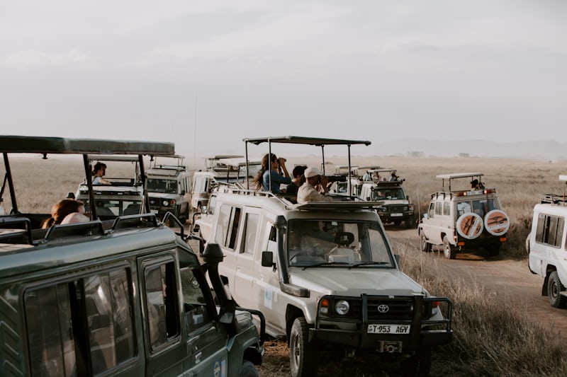 Safari vehicles with tourists in a grassy savannah, observing wildlife. The sky is overcast, and the terrain is flat and expansive.