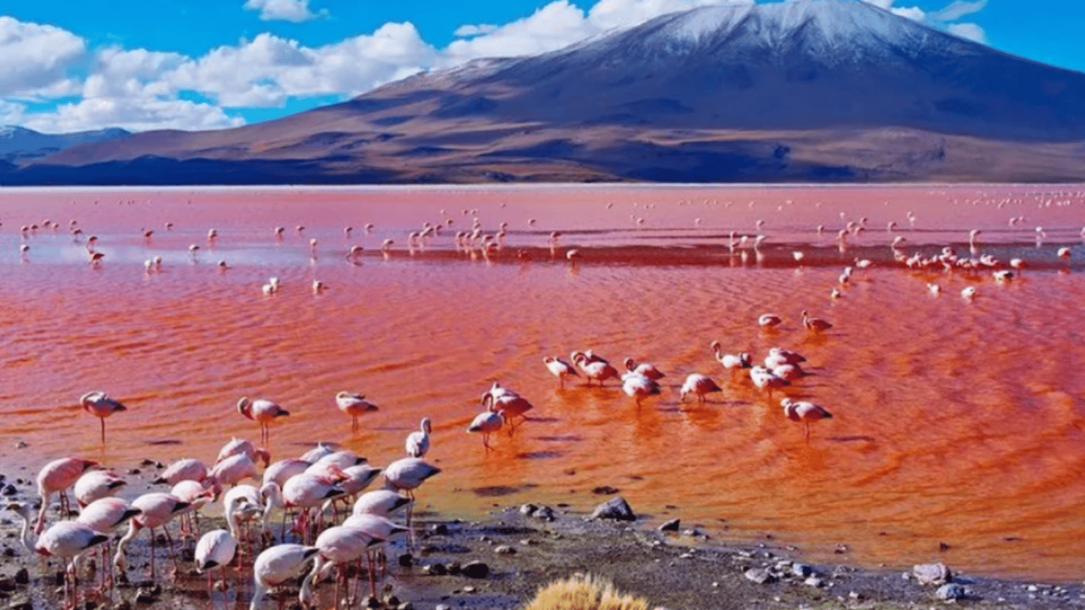 Lake Natron & Maasai Culture