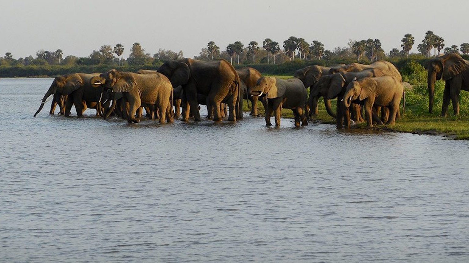 2 Days Zanzibar to Nyerere Safari Escape