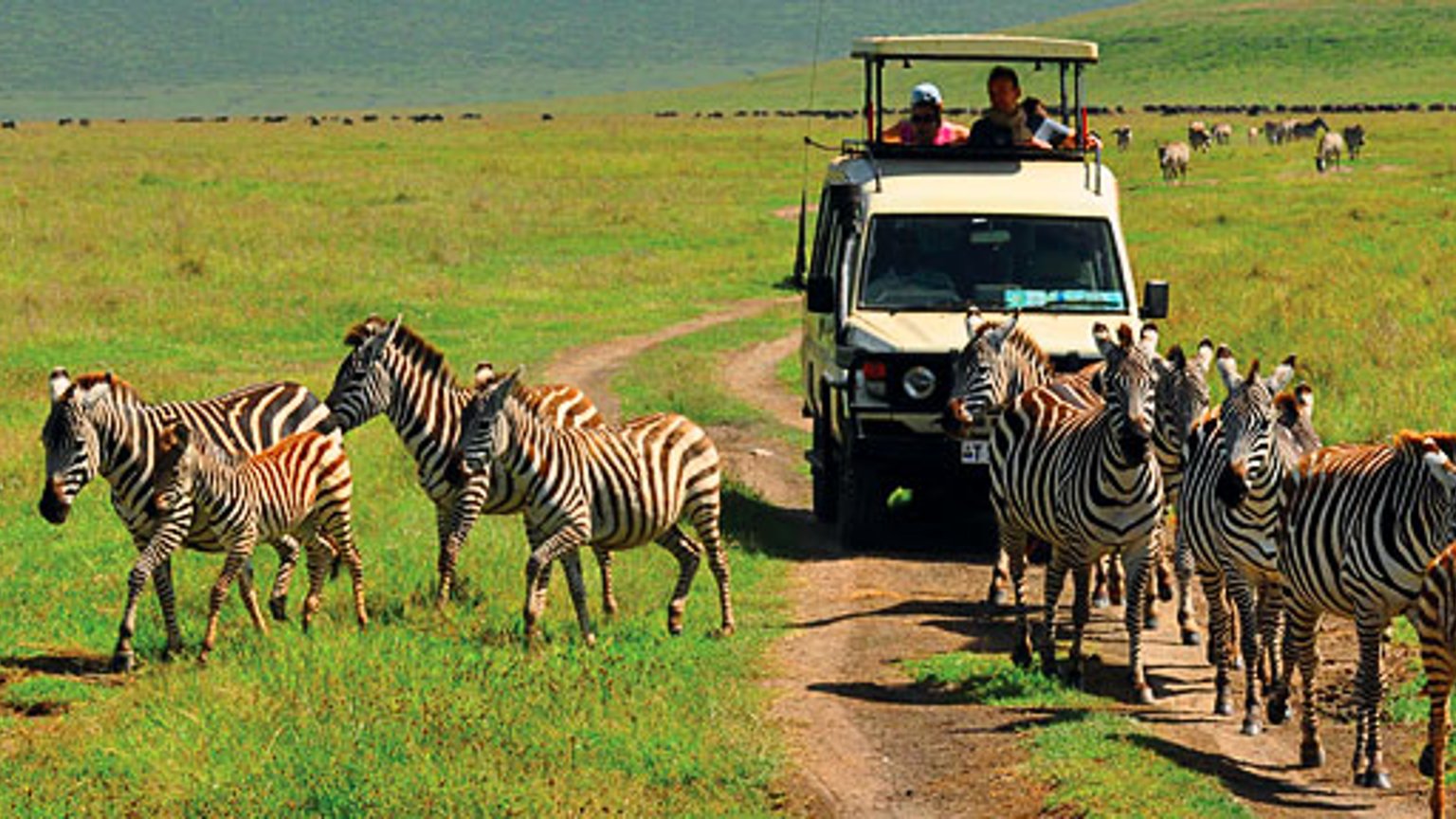 5-Day Tanzania Group Safari: Tarangire, Serengeti & Ngorongoro