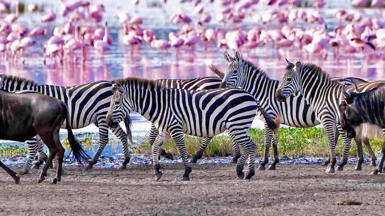 6-Day Private Safari: Tarangire, Lake Eyasi, Ngorongoro & Lake Manyara