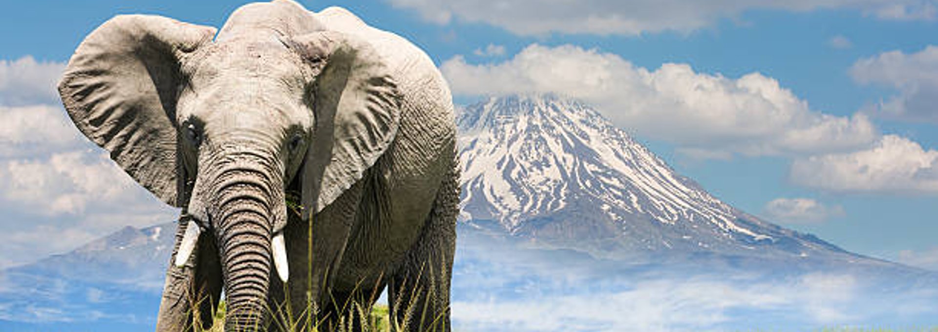 Planning a trip to Tanzania